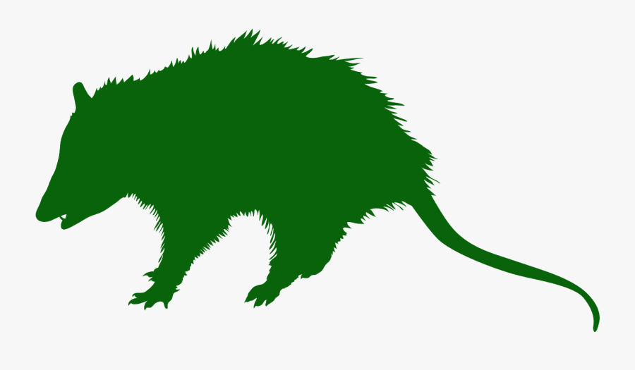 Opossum Silhouette, Transparent Clipart