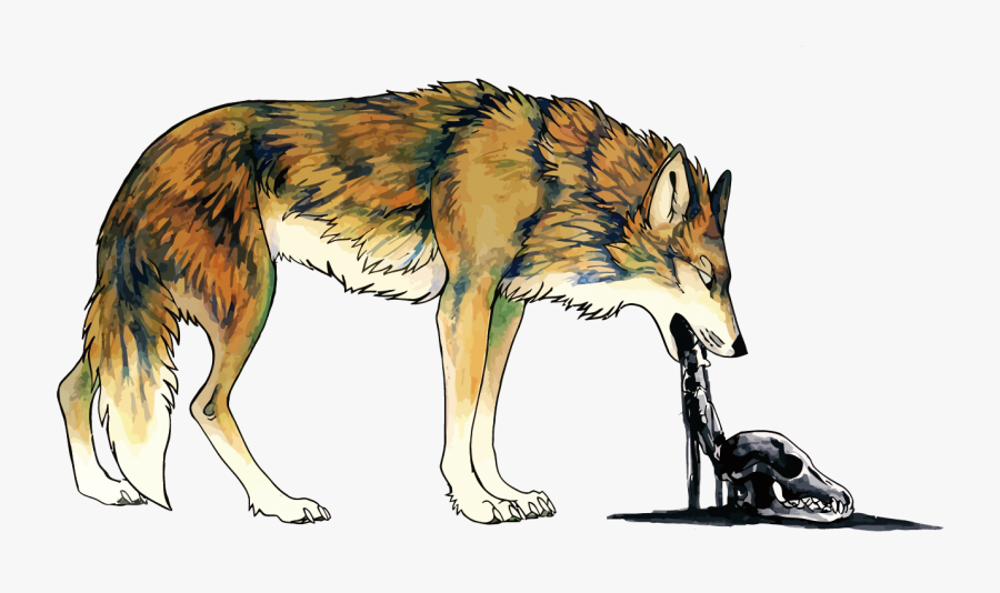Coyote Dog Vomiting Illustration - Coyote Illustration, Transparent Clipart