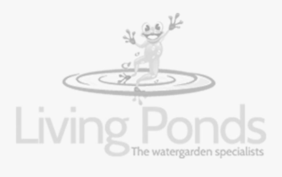 Fish Net Skimmer - Pond, Transparent Clipart