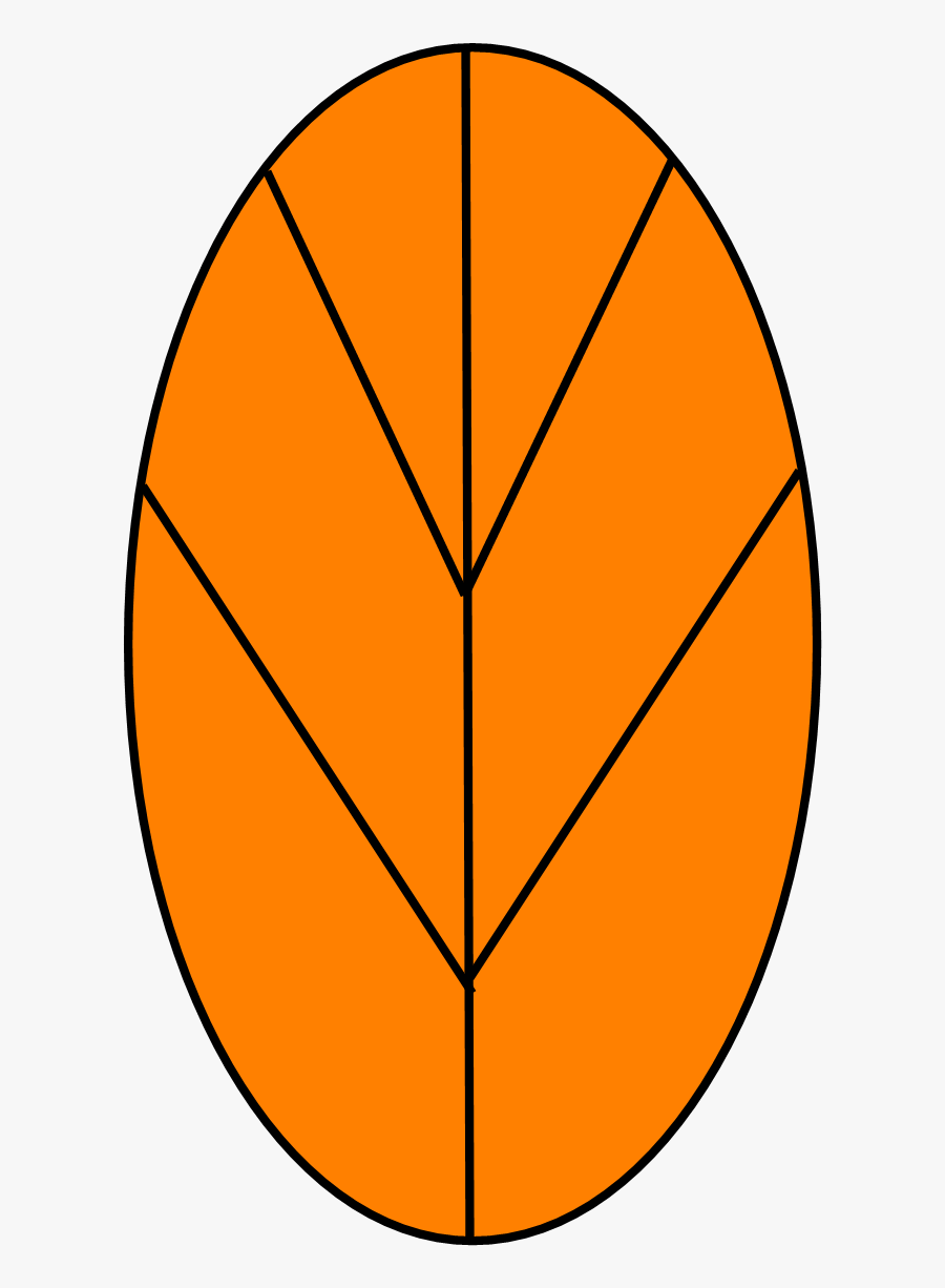 Circle, Transparent Clipart