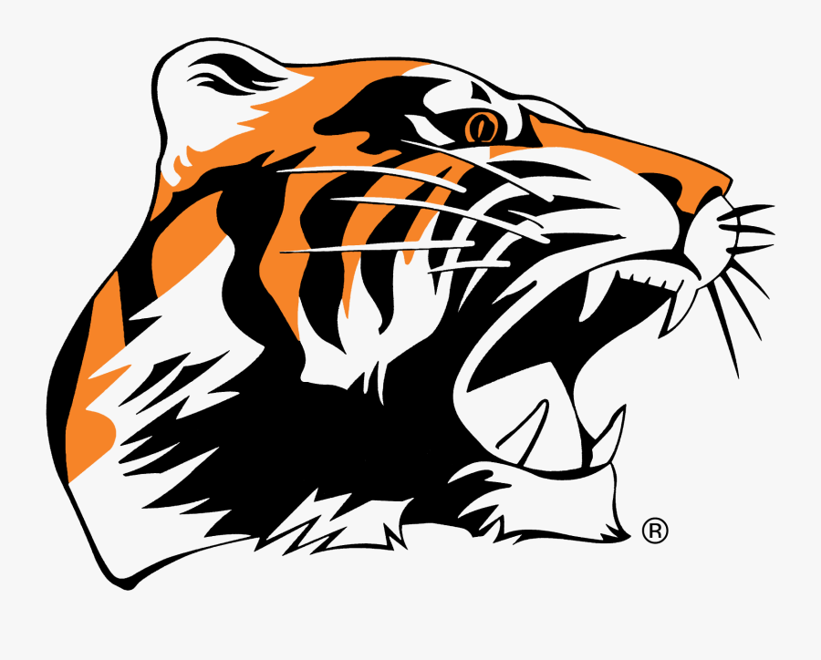 Transparent Tiger Face Clipart - Chagrin Falls High School, Transparent Clipart