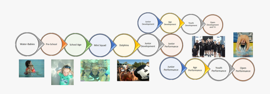 Swimming Long Term Athlete Development, Transparent Clipart