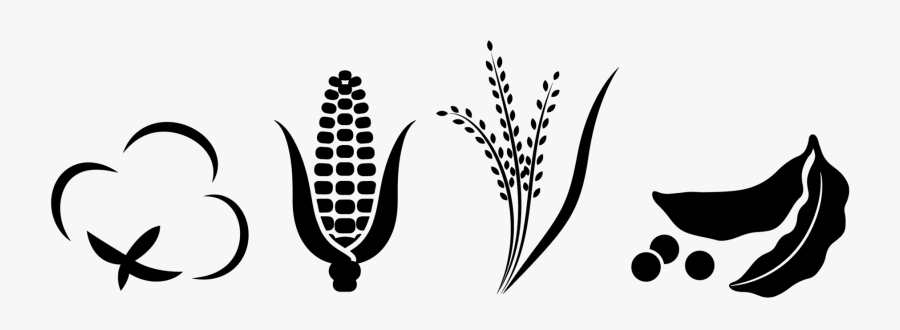 Black And White, Transparent Clipart