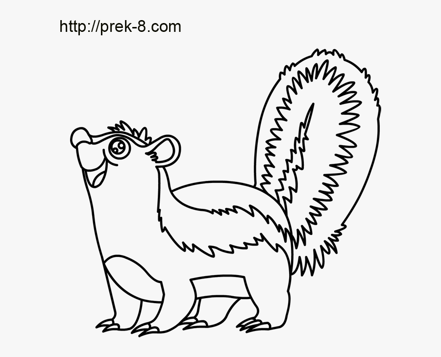 Coloring Page Skunk Animal - Cartoon, Transparent Clipart