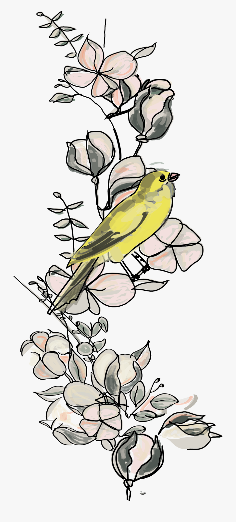 American Goldfinch, Transparent Clipart