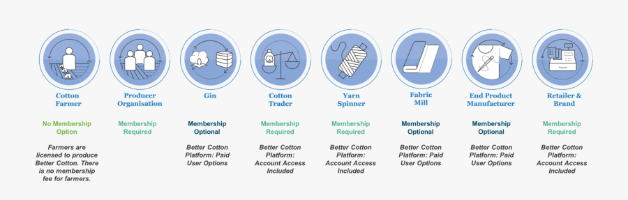 Circle, Transparent Clipart