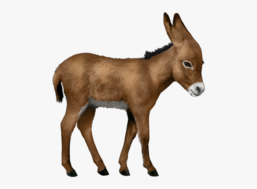 Donkey Transparent Background, Transparent Clipart