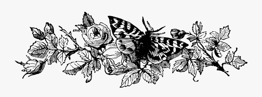 Black Flower Vintage Png, Transparent Clipart