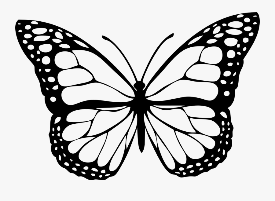 Transparent Clipart Flowers And Butterflies Black And - Butterfly Png Black And White, Transparent Clipart