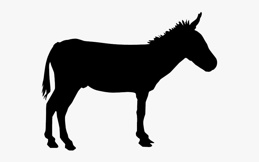 Donkey Silhouette Drawing - Silhouette Of Donkey, Transparent Clipart
