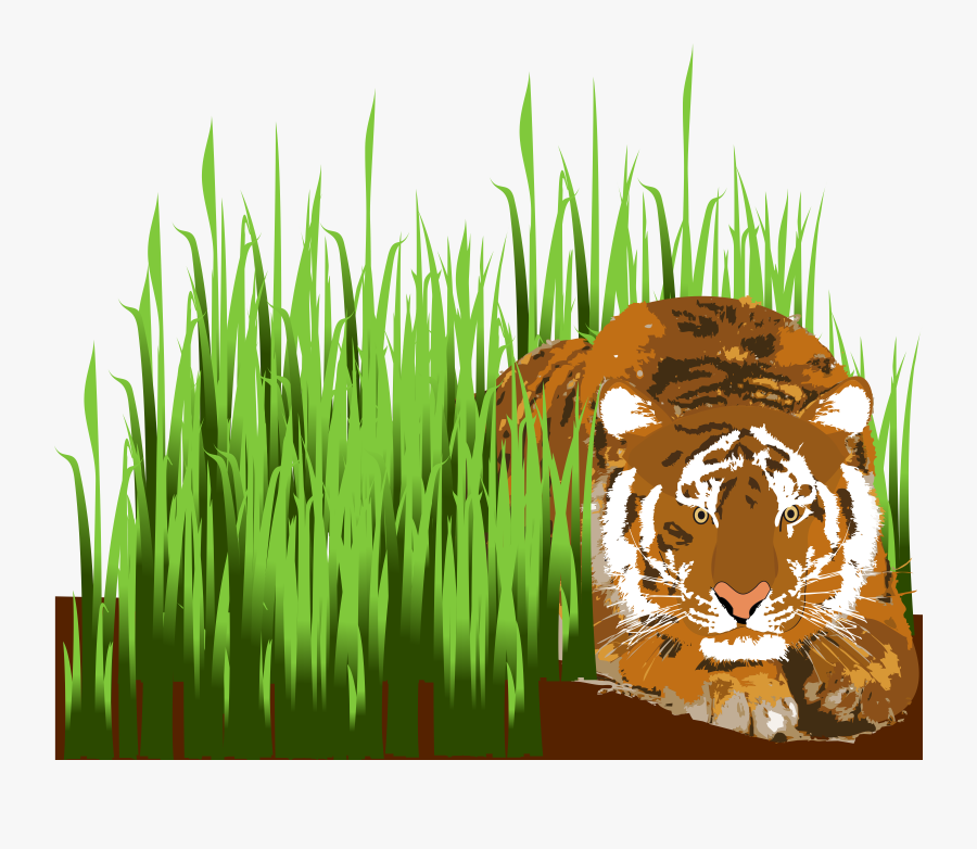 Tiger - Tiger In Grass Cartoon, Transparent Clipart