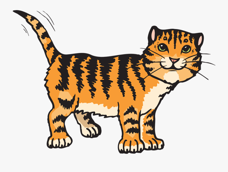 Cat, Stripes, Tiger, Animal, Tail, Whiskers, Striped - Cat Cliparts, Transparent Clipart