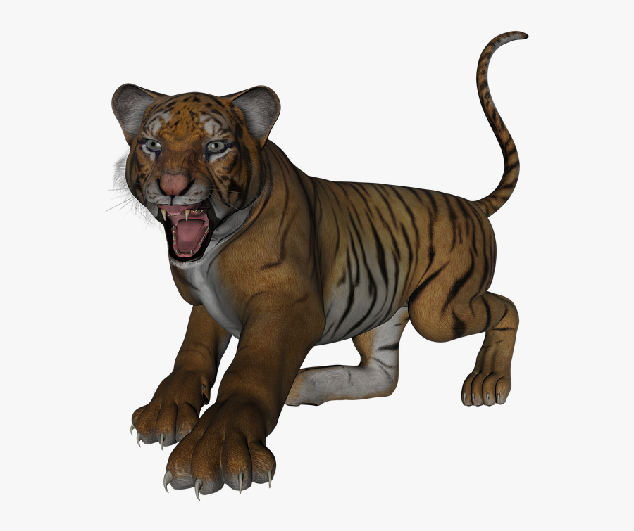 Tiger, Transparent Clipart