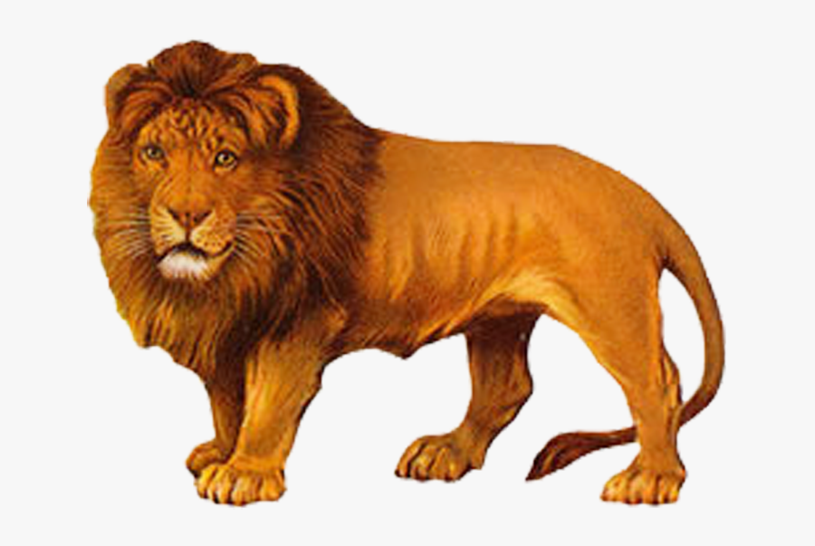 Lion Painting Png, Transparent Clipart