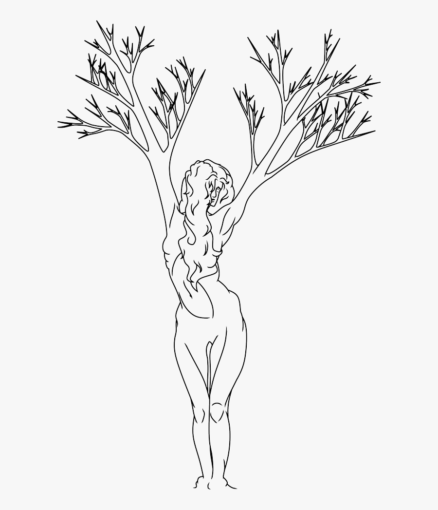 Lace Transparent Lineart - Apollo And Daphne Drawing, Transparent Clipart