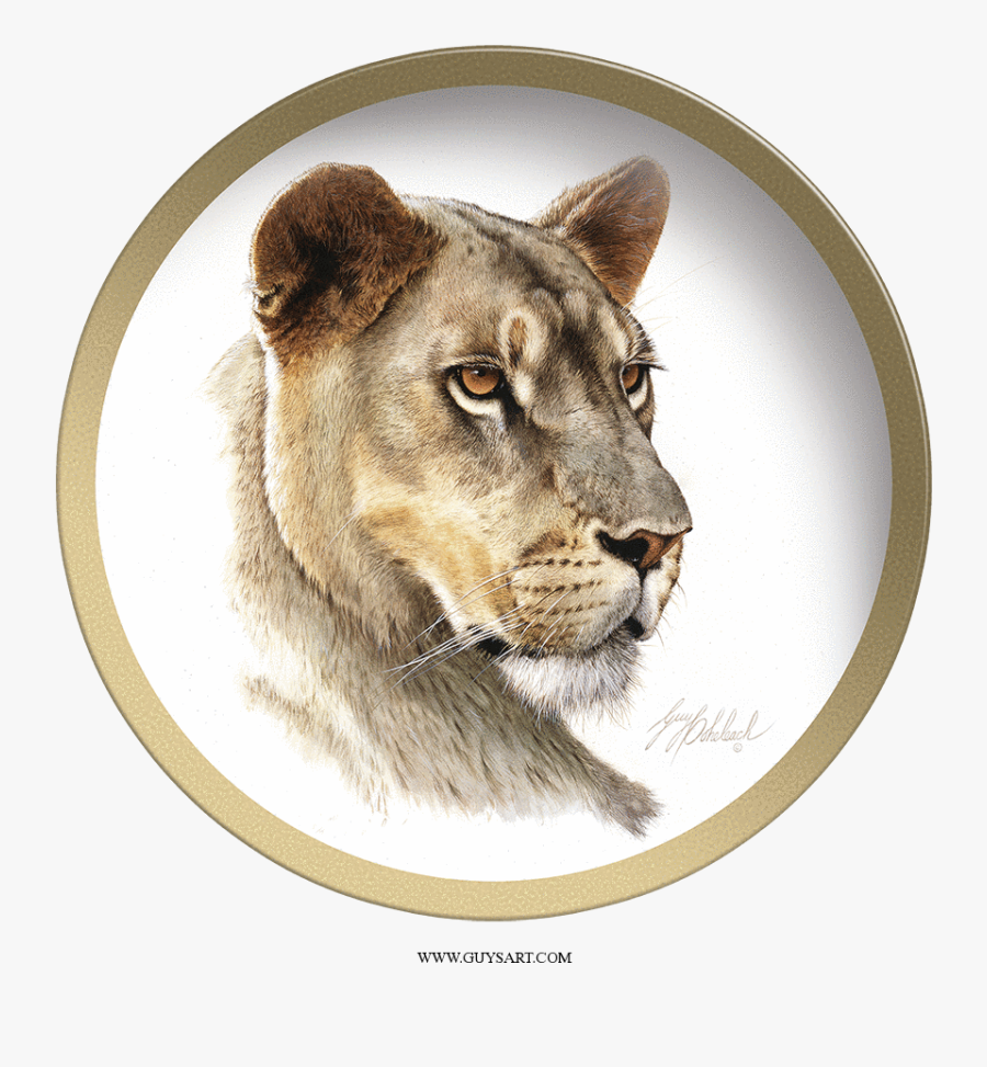 Lion Tattoo Designs On Forearm, Transparent Clipart