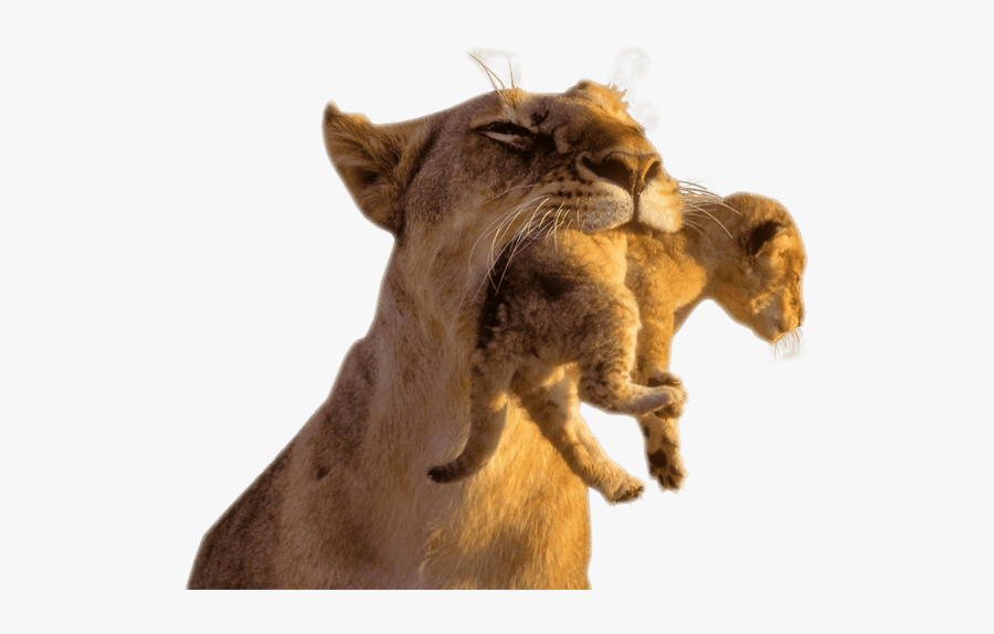 Animals With Transparent Background, Transparent Clipart