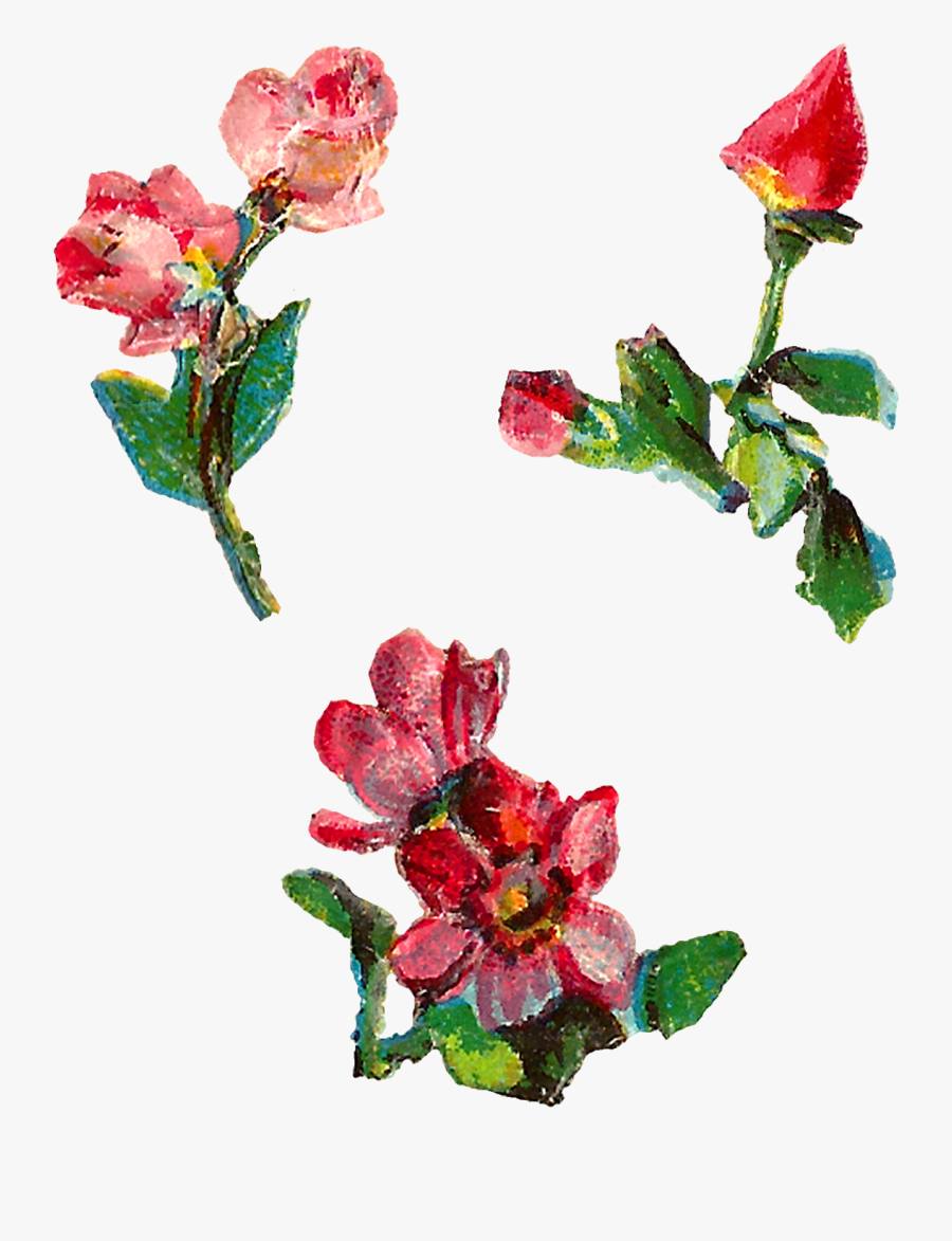 Rose Shabby Chic Collage Sheet Digital Downloadd Clipart, Transparent Clipart