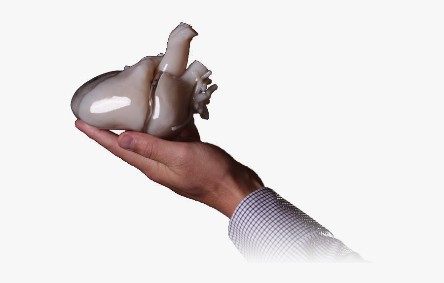 How To Create A Heart Model For 3d Printing - Chocolate, Transparent Clipart