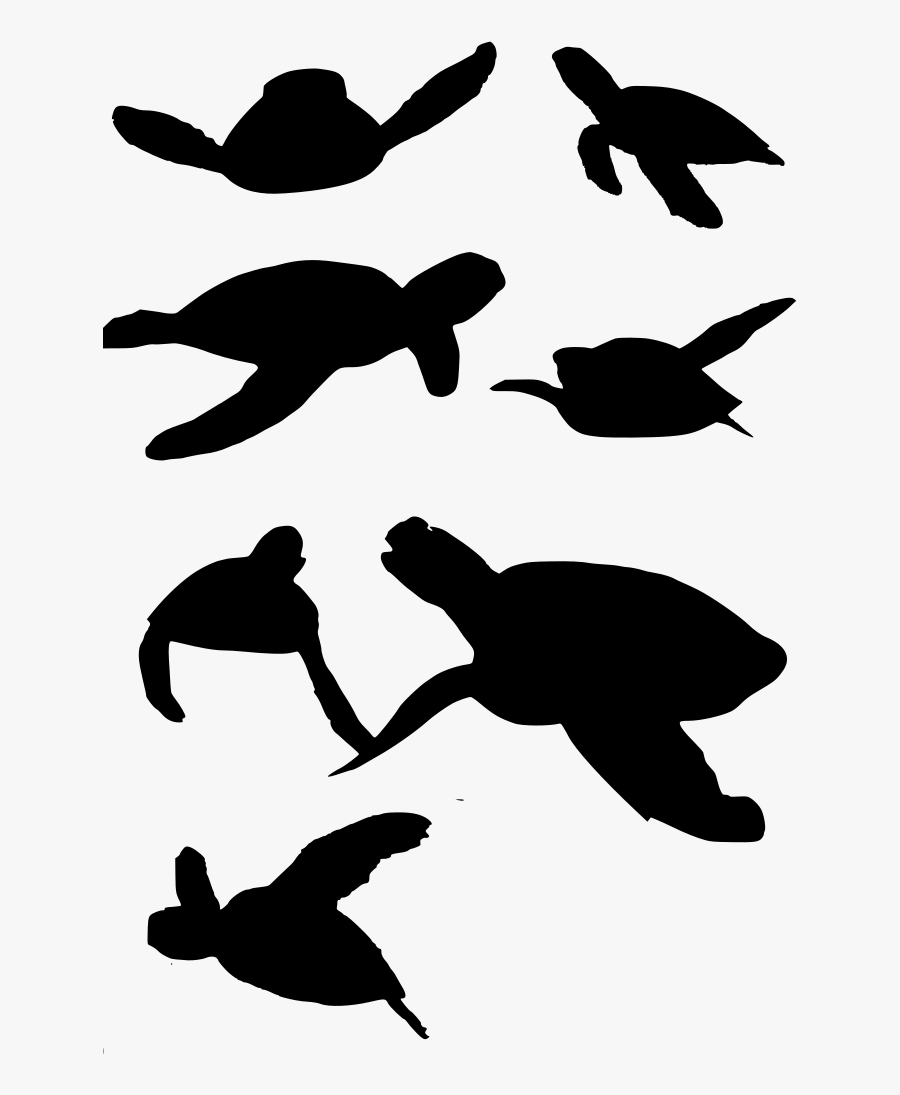 Turtle Vector Clipart , Png Download - Vector Turtle Png, Transparent Clipart