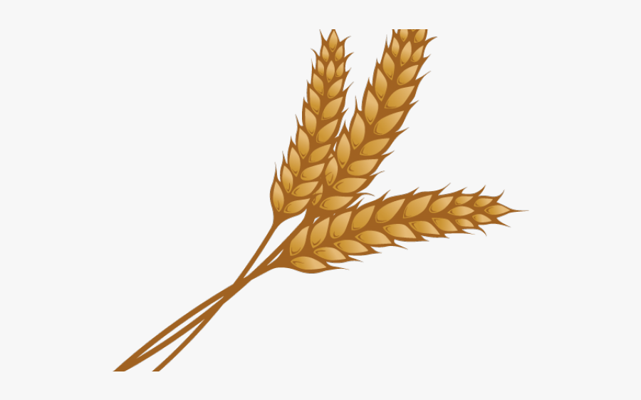 Grain Clipart Wheat Shock - Clip Art Wheat Grain, Transparent Clipart