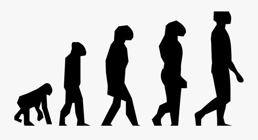 Human Walking On Two Legs, Transparent Clipart