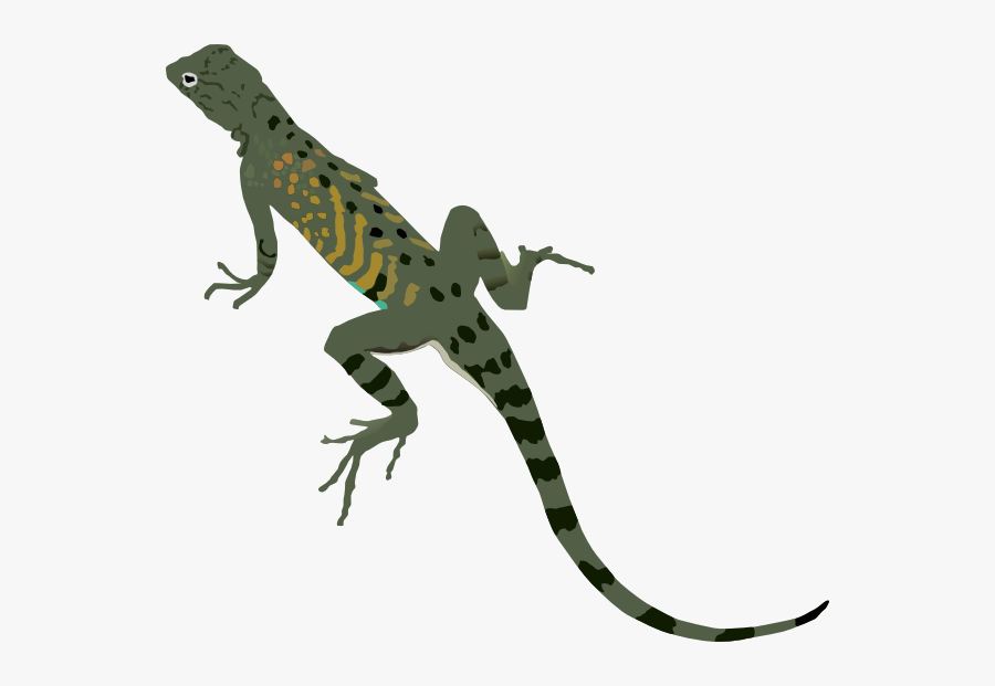 Green Black Lizard Svg Clip Arts - Lizard Clipart, Transparent Clipart