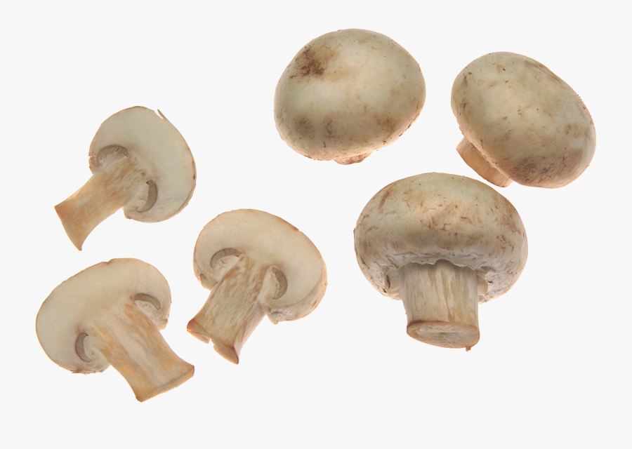 White Mushrooms Png Image - Mushroom Png, Transparent Clipart