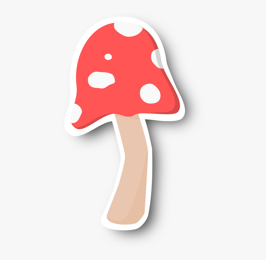 Shiitake, Transparent Clipart