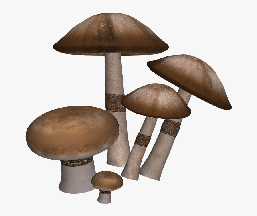 Mushroom - Imagenes De Setas Png, Transparent Clipart