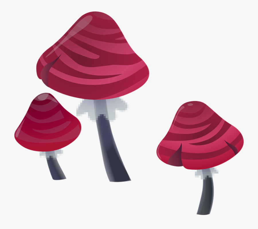 Transparent Magic Mushroom Clipart - Pilze Rosa, Transparent Clipart