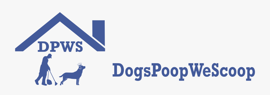 Graphic Design, Transparent Clipart