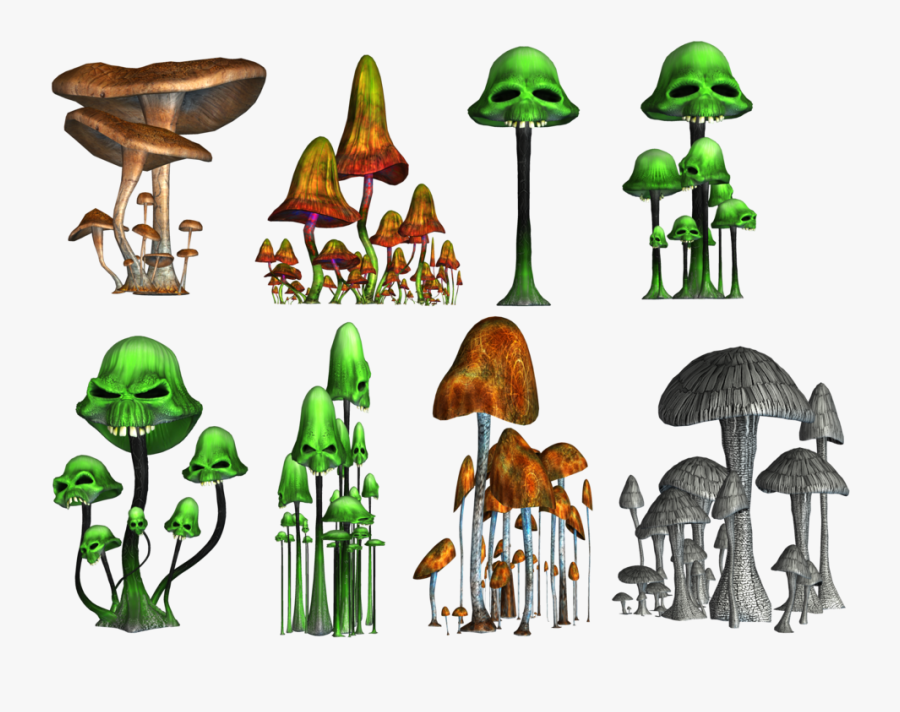 Mushrooms Clipart Object - Magic Mushrooms Png, Transparent Clipart