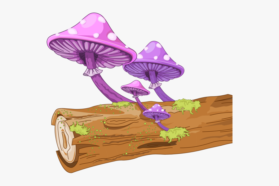 Fairyland Clipart, Transparent Clipart