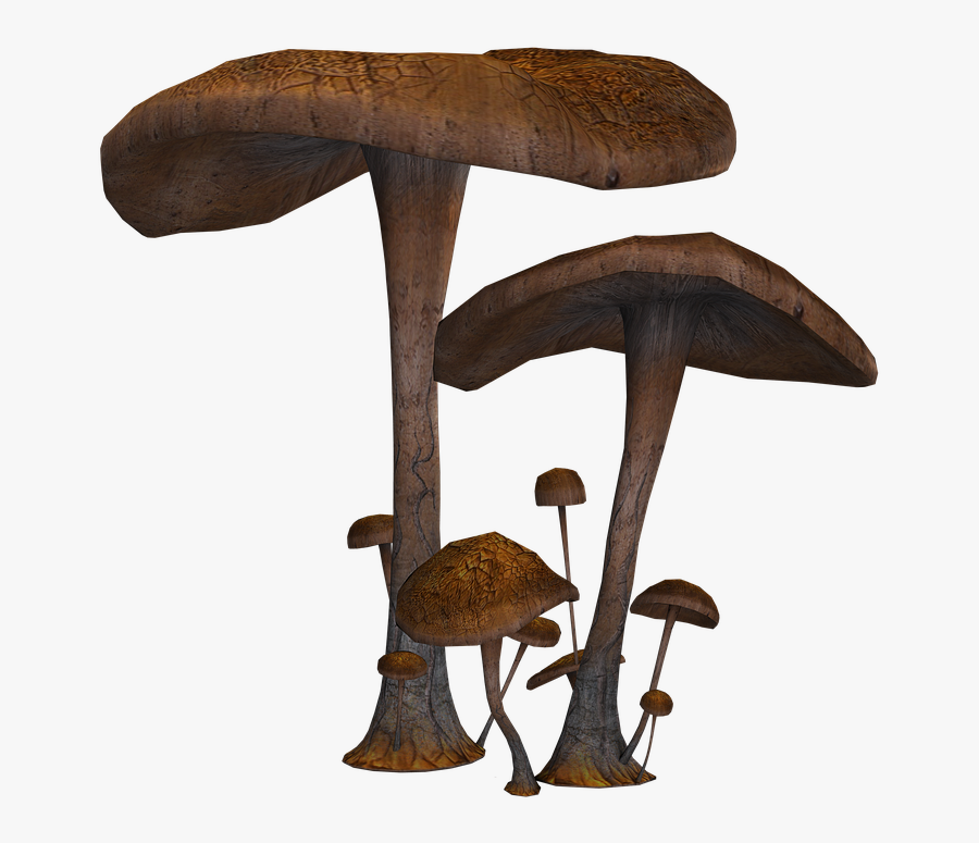 Fantasy Mushrooms Png, Transparent Clipart