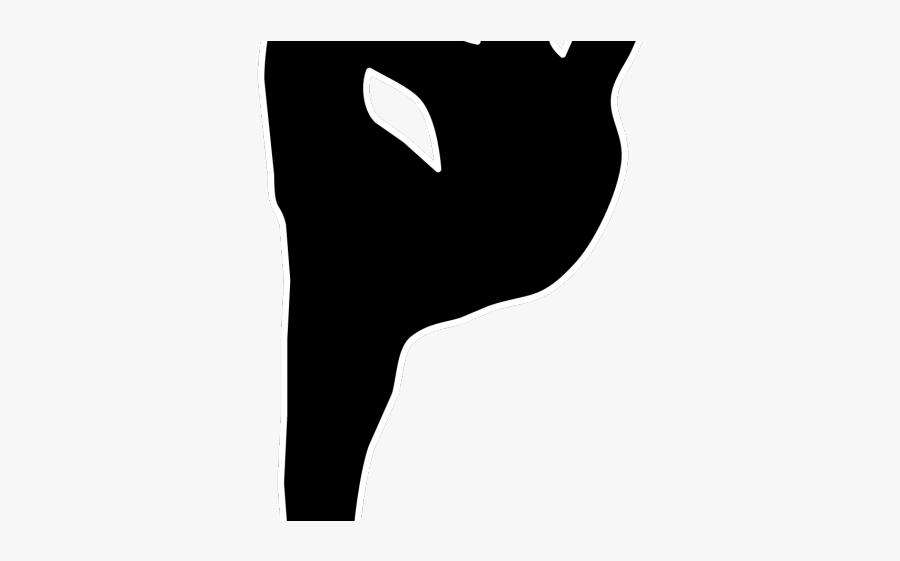 Gym Ball Clipart Cartoon, Transparent Clipart