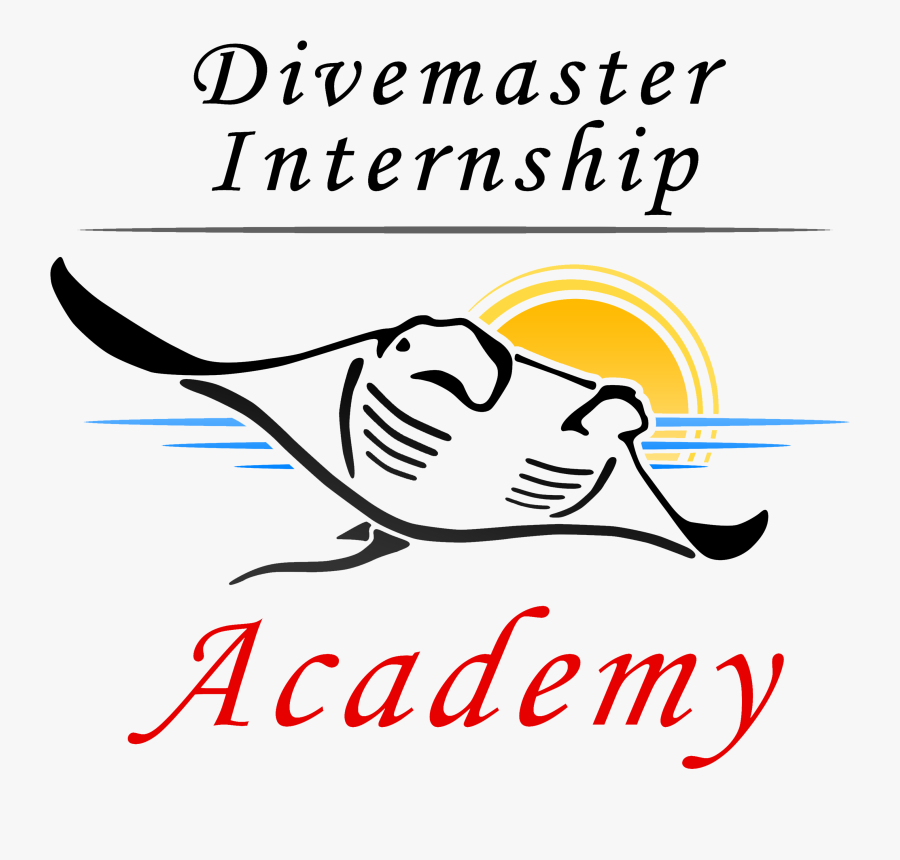 Padi Divemaster Internships - Illustration, Transparent Clipart