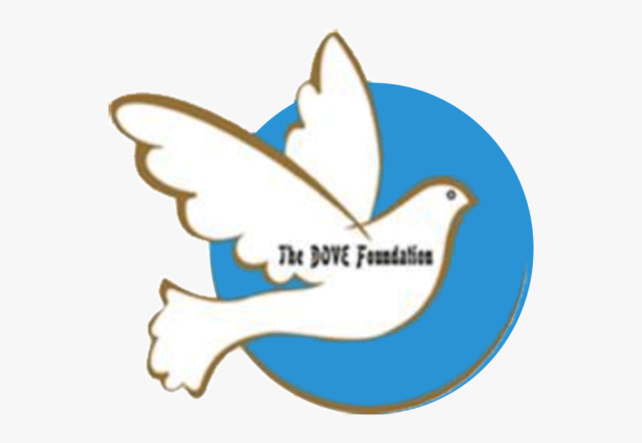 World Of Work Summer Internship Blog - Dove Foundation India, Transparent Clipart