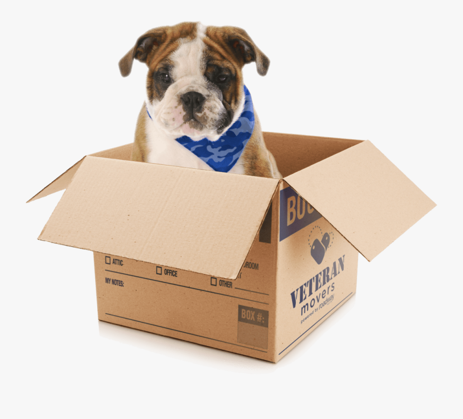 Veteran Mover"s Dog - Unpacking, Transparent Clipart