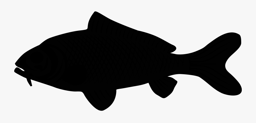 Marine Mammal Black & White - Siluet Ikan Laut, Transparent Clipart