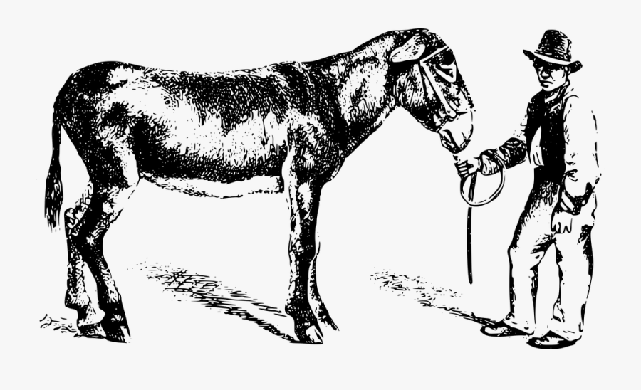 Transparent Donkey Clipart Black And White - Man With Donkey Clipart, Transparent Clipart
