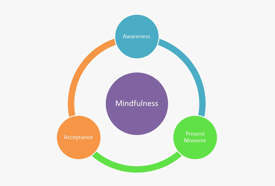Mindfulness Transparent Background - Study Of Effect Of Potassium Bisulphite, Transparent Clipart
