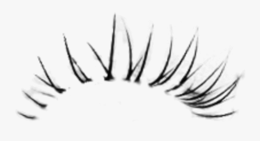 Transparent Unicorn Eyelashes Clipart - Eyelashes Png For Photoshop, Transparent Clipart