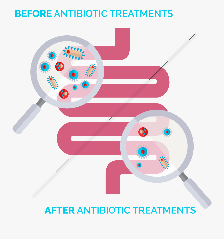 Antibiotic Associated Diarrhea Clipart, Transparent Clipart