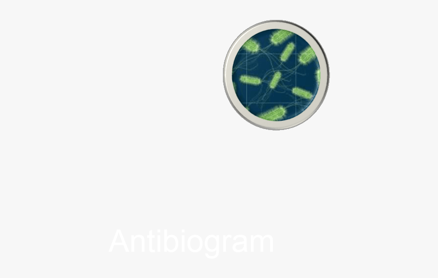 Emblem, Transparent Clipart