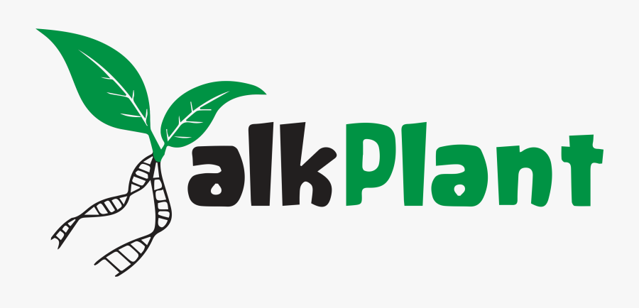 Back Img Login - Graphic Design, Transparent Clipart