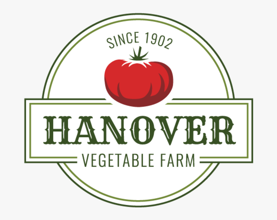 Tomato, Transparent Clipart