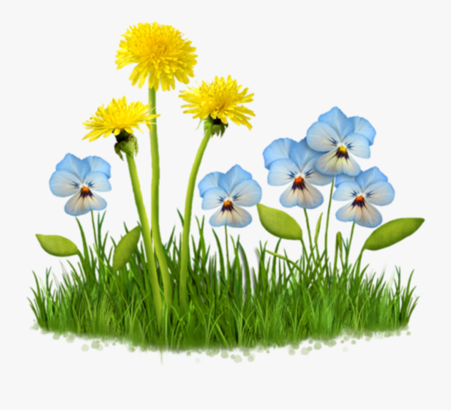 Thumb Image, Transparent Clipart