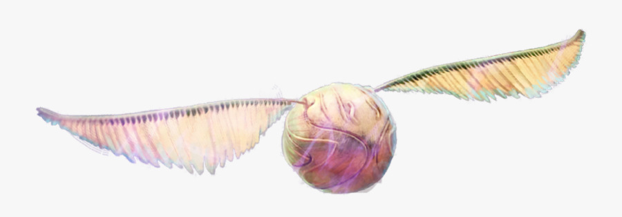 Pendant, Transparent Clipart