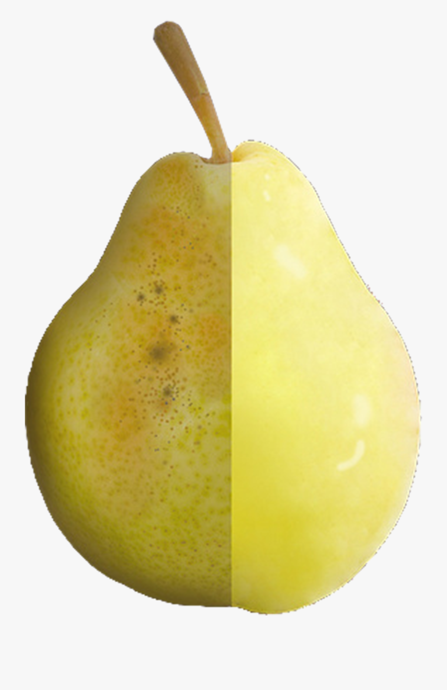 Pear Download Icon - Asian Pear, Transparent Clipart